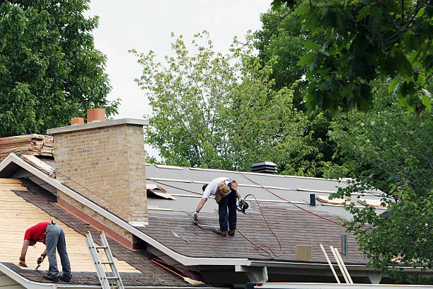 Best Roof Maintenance Services  in Wilton, IA