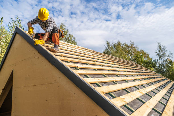 Best Roof Leak Repair  in Wilton, IA